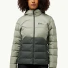 Ather Down Hoody W Rds
